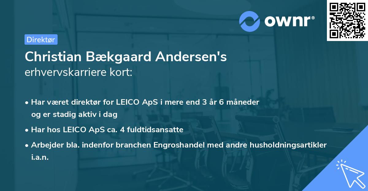 Christian Bækgaard Andersen's erhvervskarriere kort
