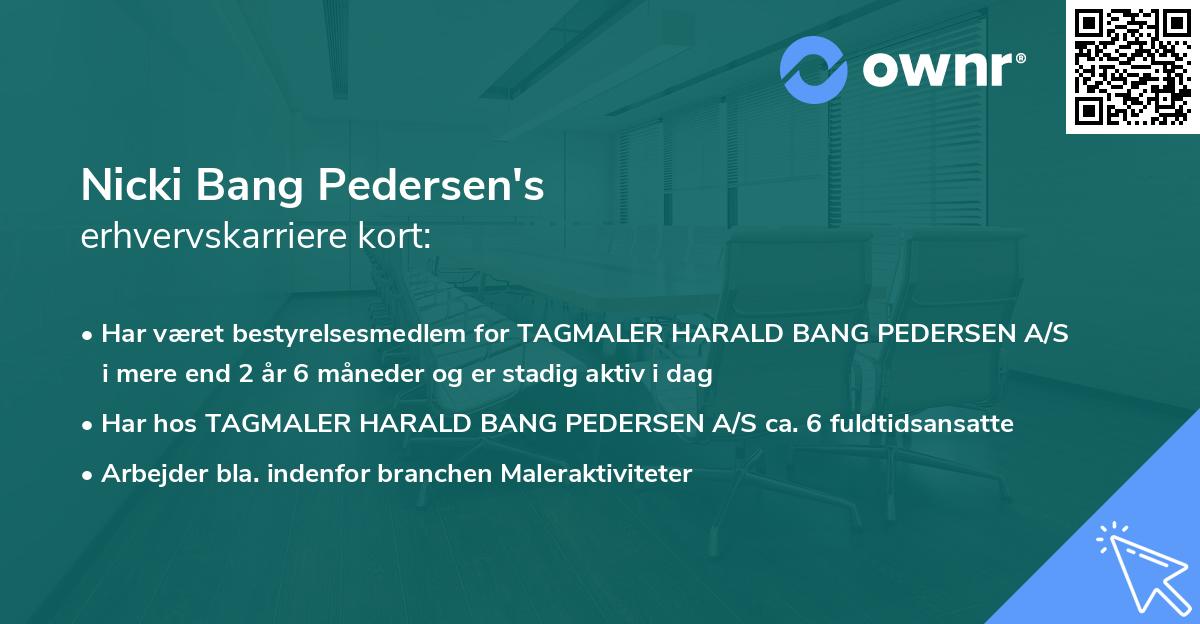 Nicki Bang Pedersen's erhvervskarriere kort
