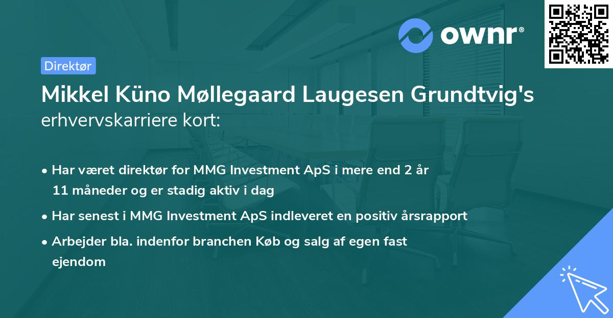 Mikkel Küno Møllegaard Laugesen Grundtvig's erhvervskarriere kort