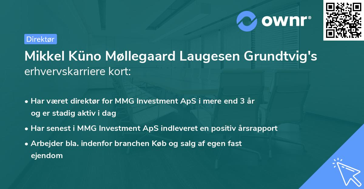 Mikkel Küno Møllegaard Laugesen Grundtvig's erhvervskarriere kort