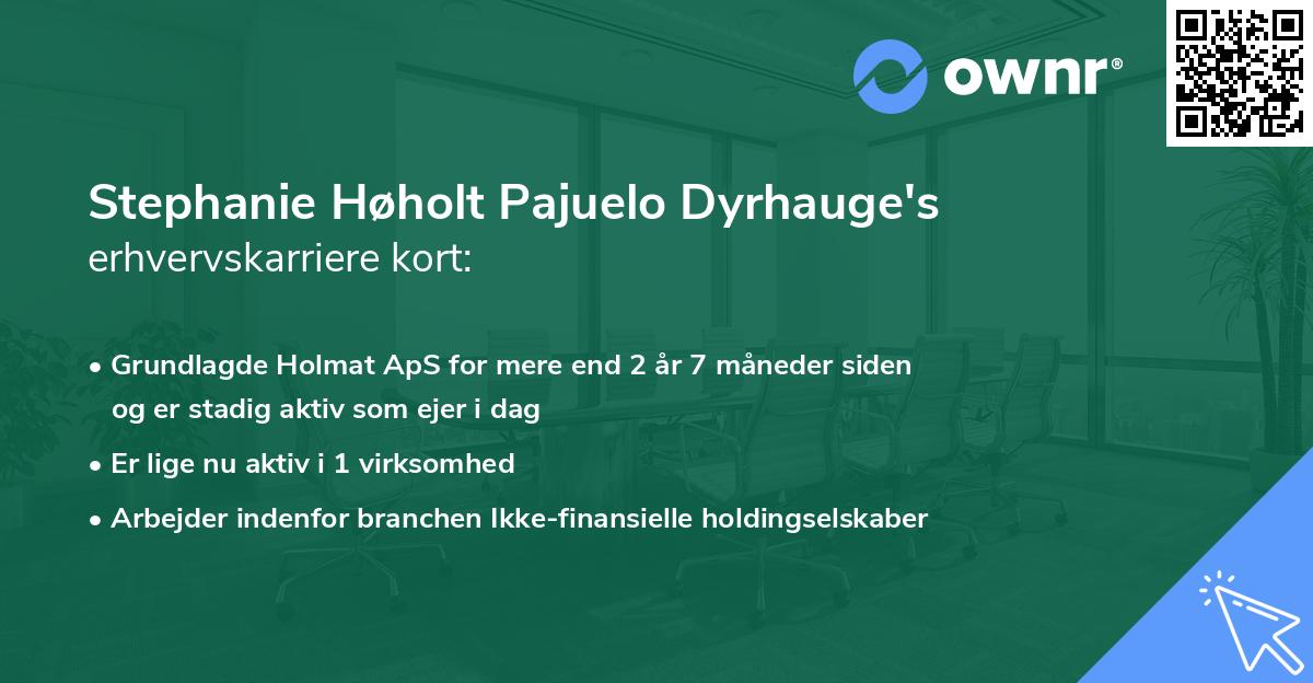 Stephanie Høholt Pajuelo Dyrhauge's erhvervskarriere kort