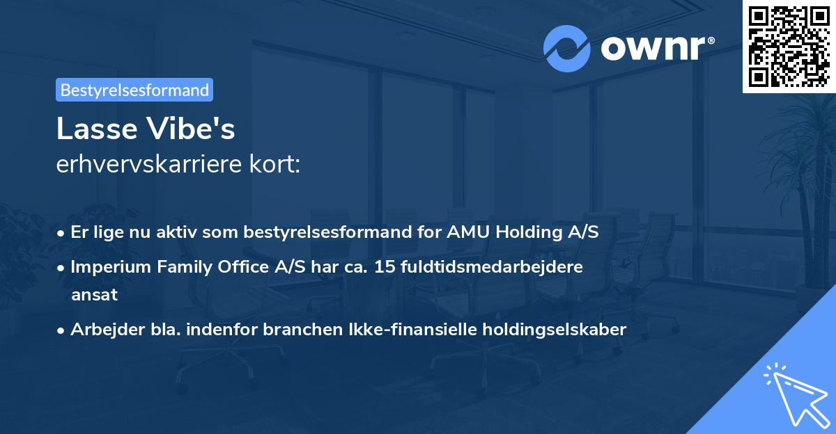 Lasse Vibe's erhvervskarriere kort