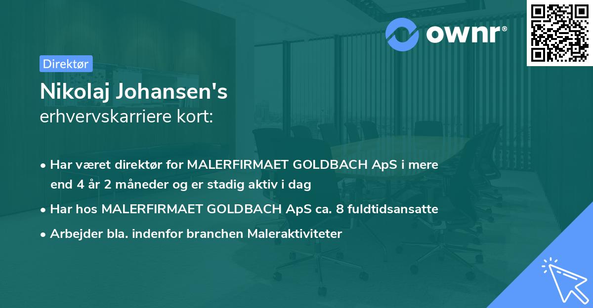 Nikolaj Johansen's erhvervskarriere kort