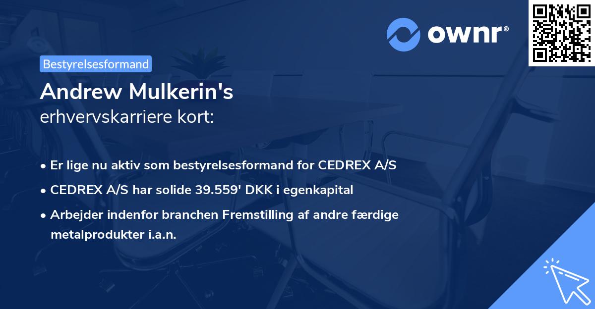 Andrew Mulkerin's erhvervskarriere kort