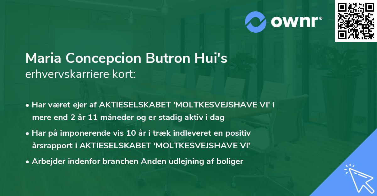 Maria Concepcion Butron Hui's erhvervskarriere kort