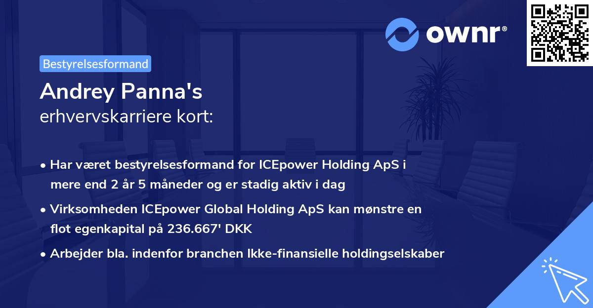 Andrey Panna's erhvervskarriere kort