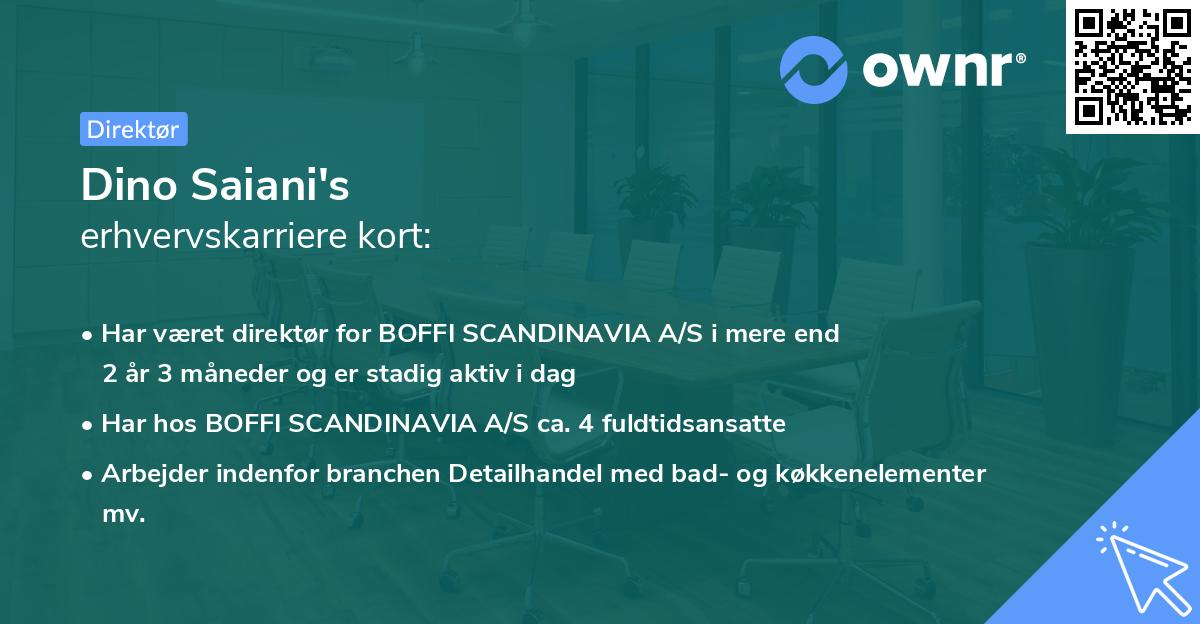 Dino Saiani's erhvervskarriere kort