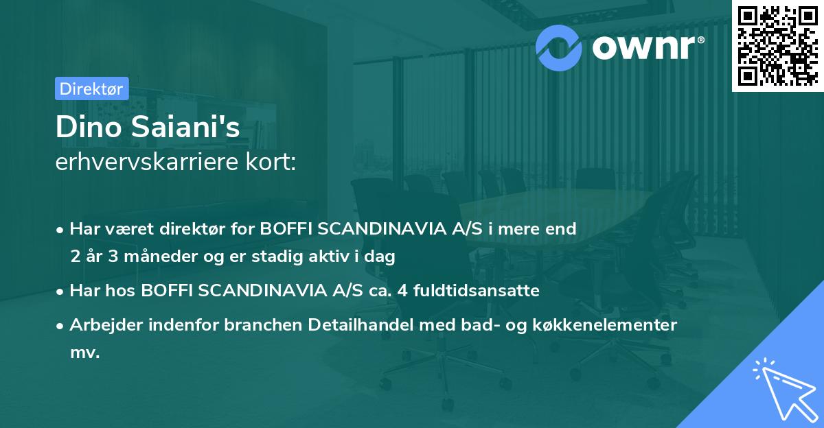 Dino Saiani's erhvervskarriere kort