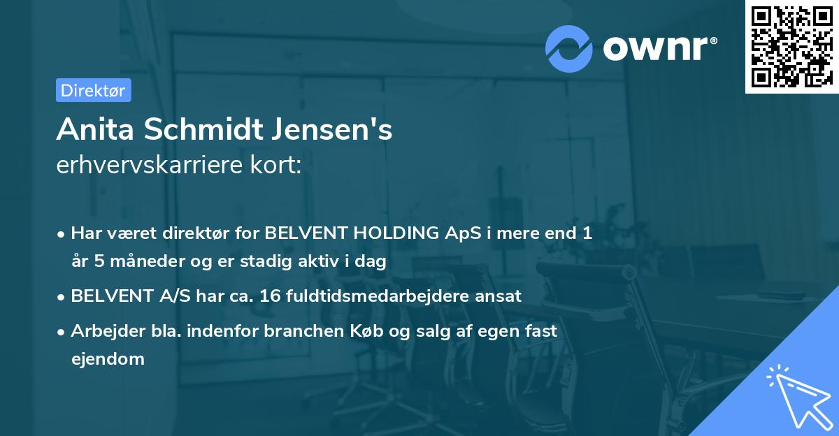Anita Schmidt Jensen's erhvervskarriere kort