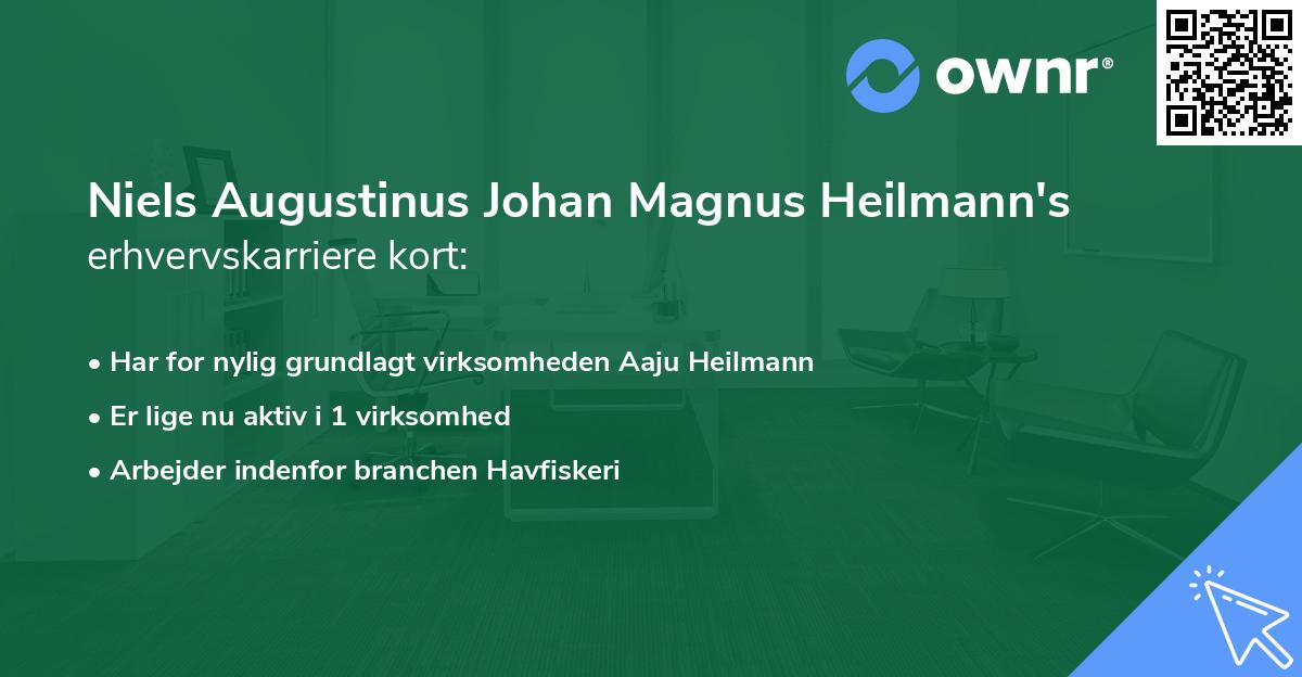 Niels Augustinus Johan Magnus Heilmann's erhvervskarriere kort