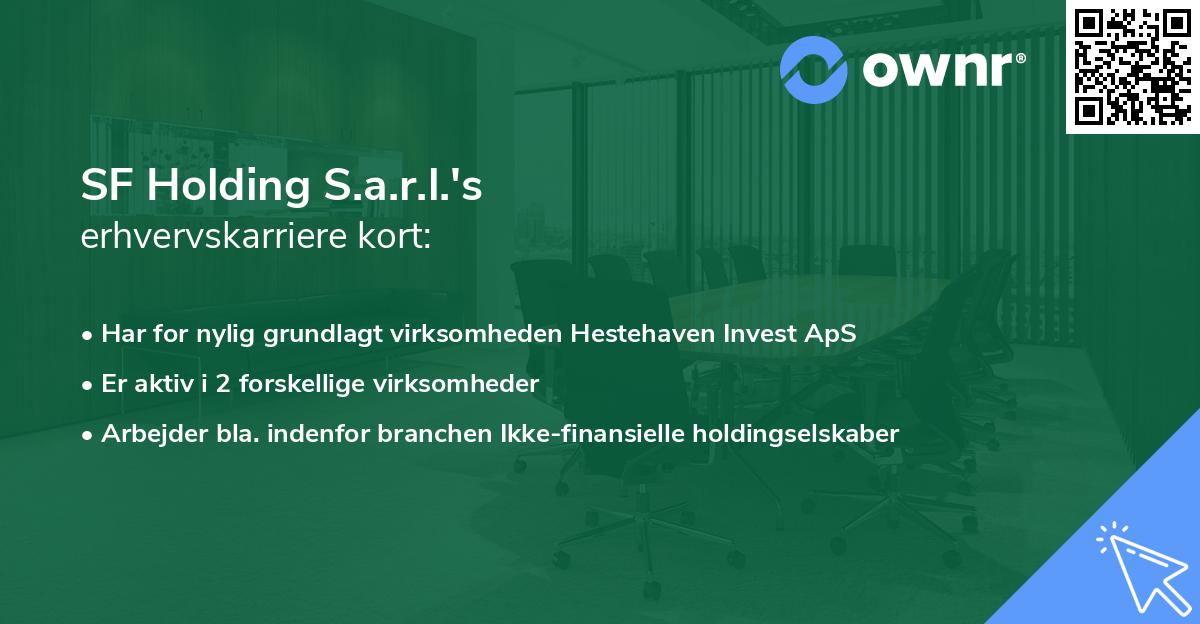 SF Holding S.a.r.l.'s erhvervskarriere kort