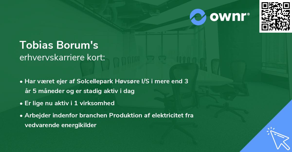 Tobias Borum's erhvervskarriere kort