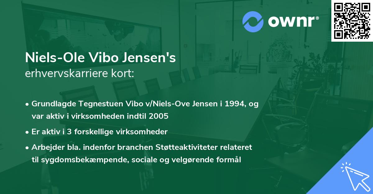 Niels-Ole Vibo Jensen's erhvervskarriere kort