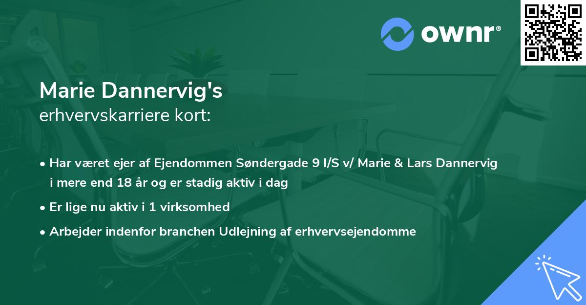 Marie Dannervig's erhvervskarriere kort