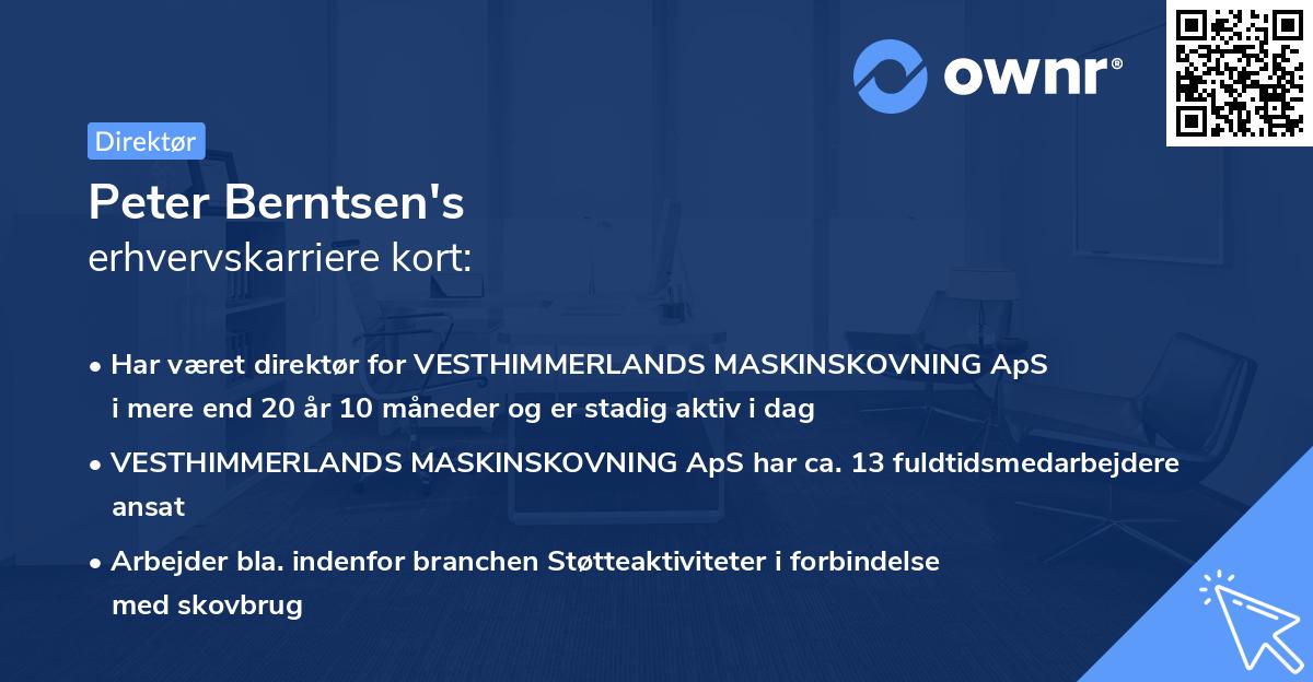 Peter Berntsen's erhvervskarriere kort