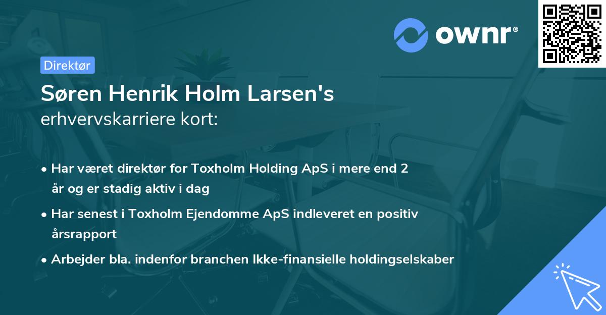Søren Henrik Holm Larsen's erhvervskarriere kort