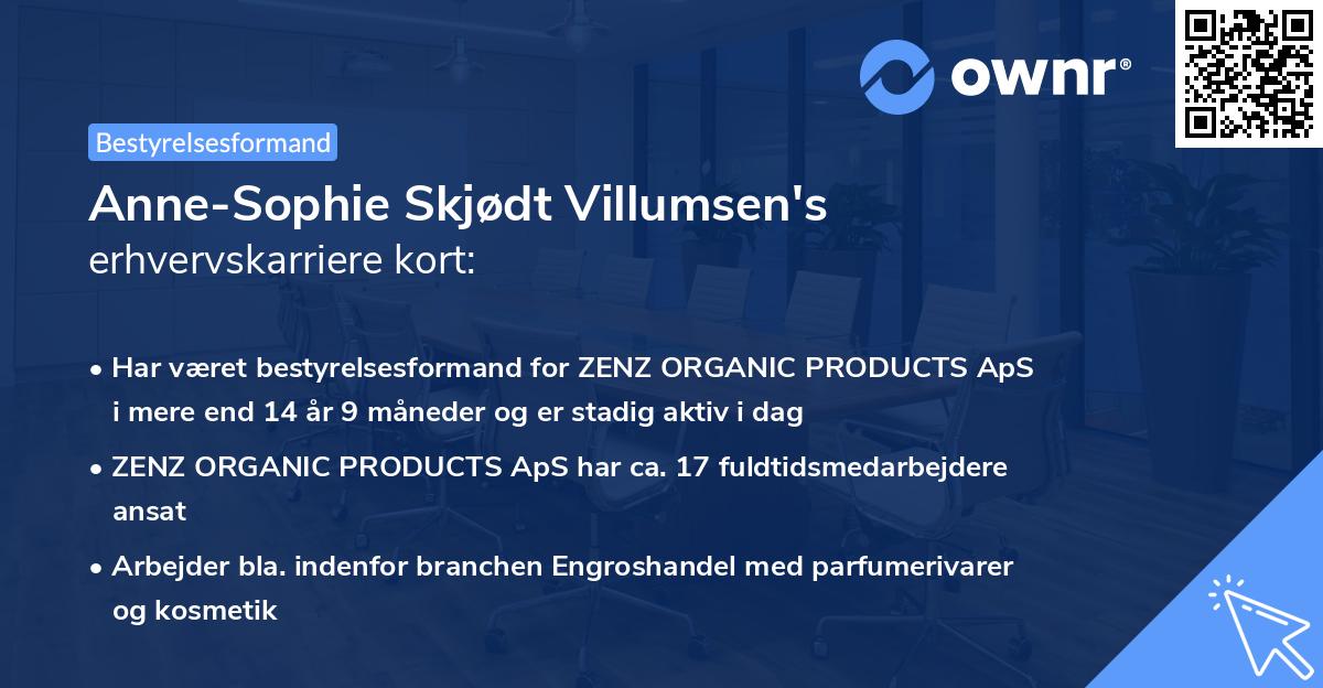 Anne-Sophie Skjødt Villumsen's erhvervskarriere kort