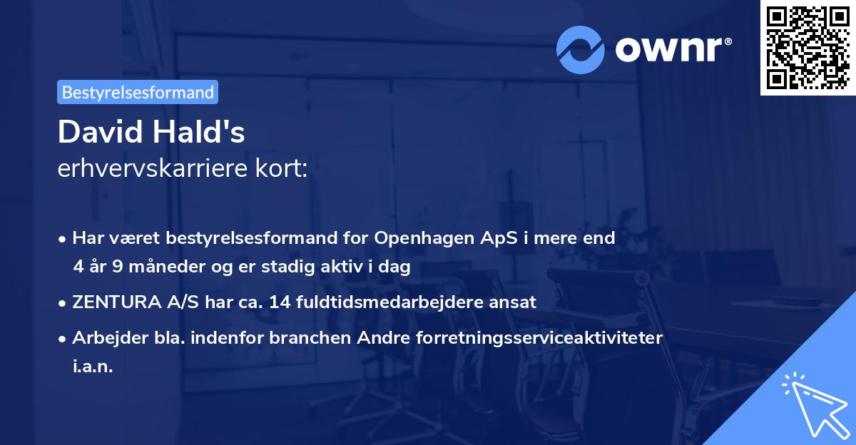 David Hald's erhvervskarriere kort