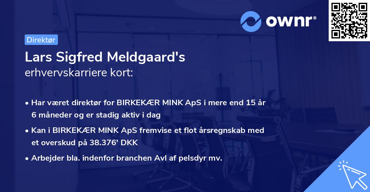 Lars Sigfred Meldgaard's erhvervskarriere kort