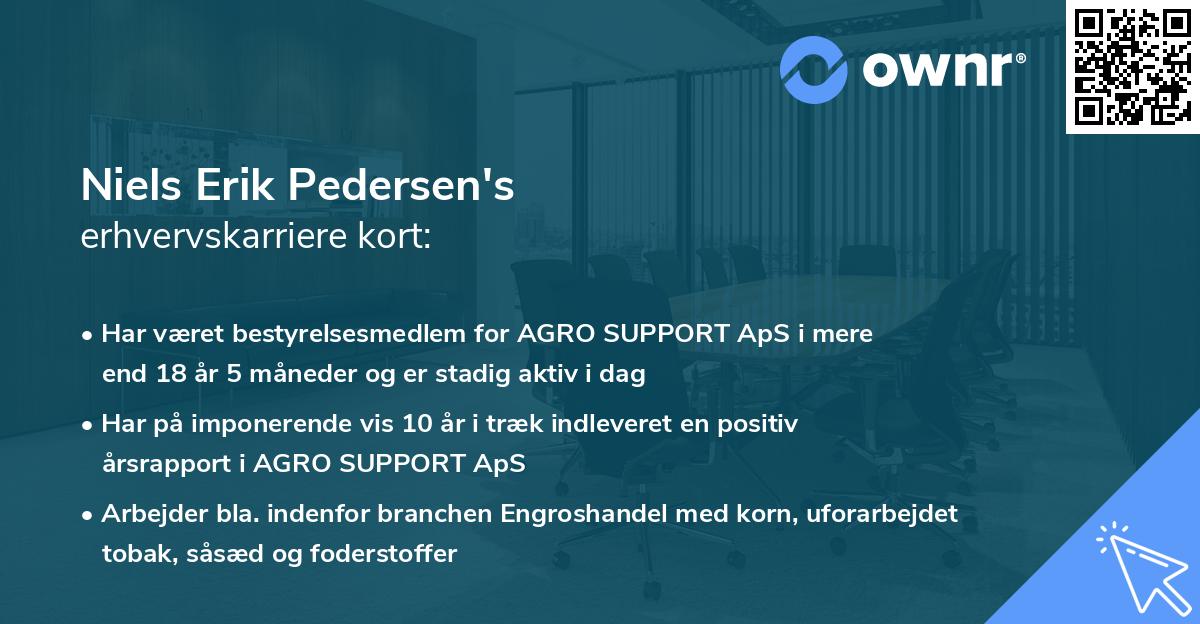 Niels Erik Pedersen's erhvervskarriere kort