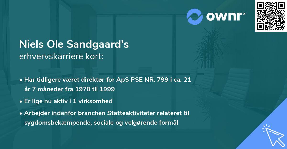 Niels Ole Sandgaard's erhvervskarriere kort