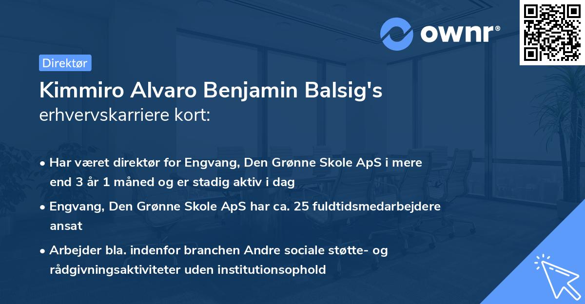 Kimmiro Alvaro Benjamin Balsig's erhvervskarriere kort