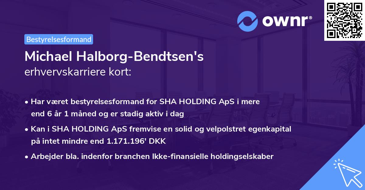 Michael Halborg-Bendtsen's erhvervskarriere kort