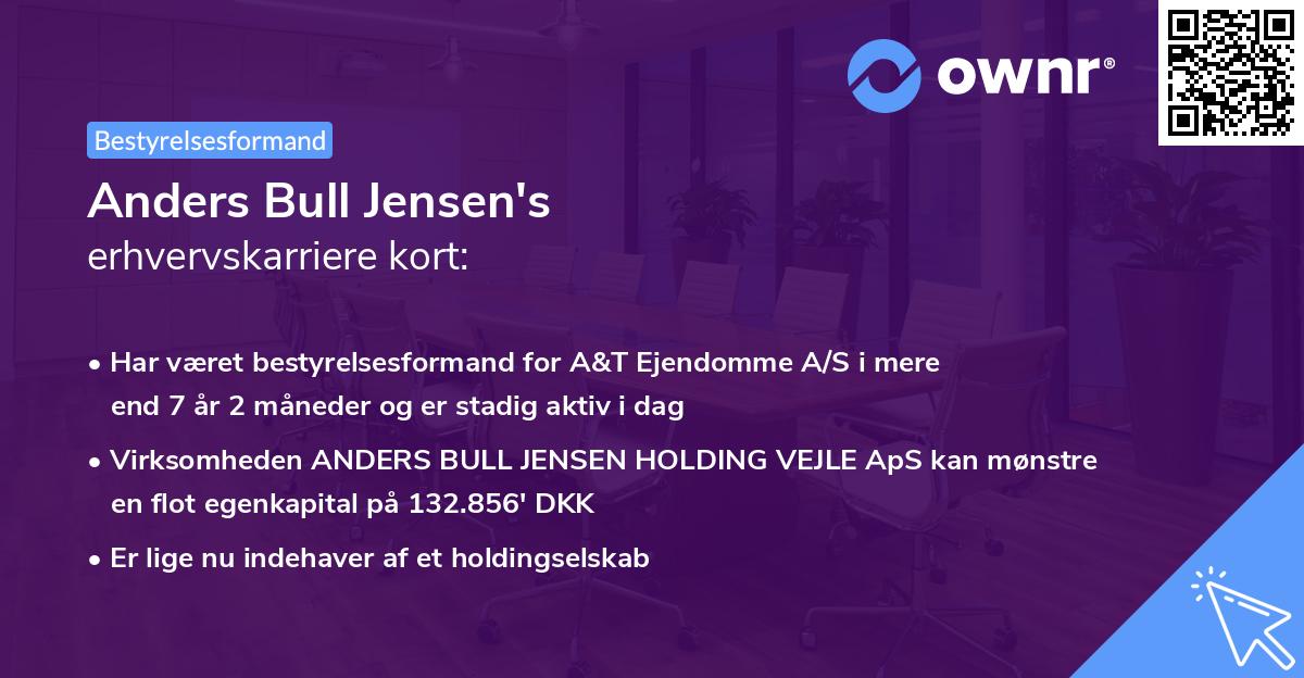 Anders Bull Jensen's erhvervskarriere kort