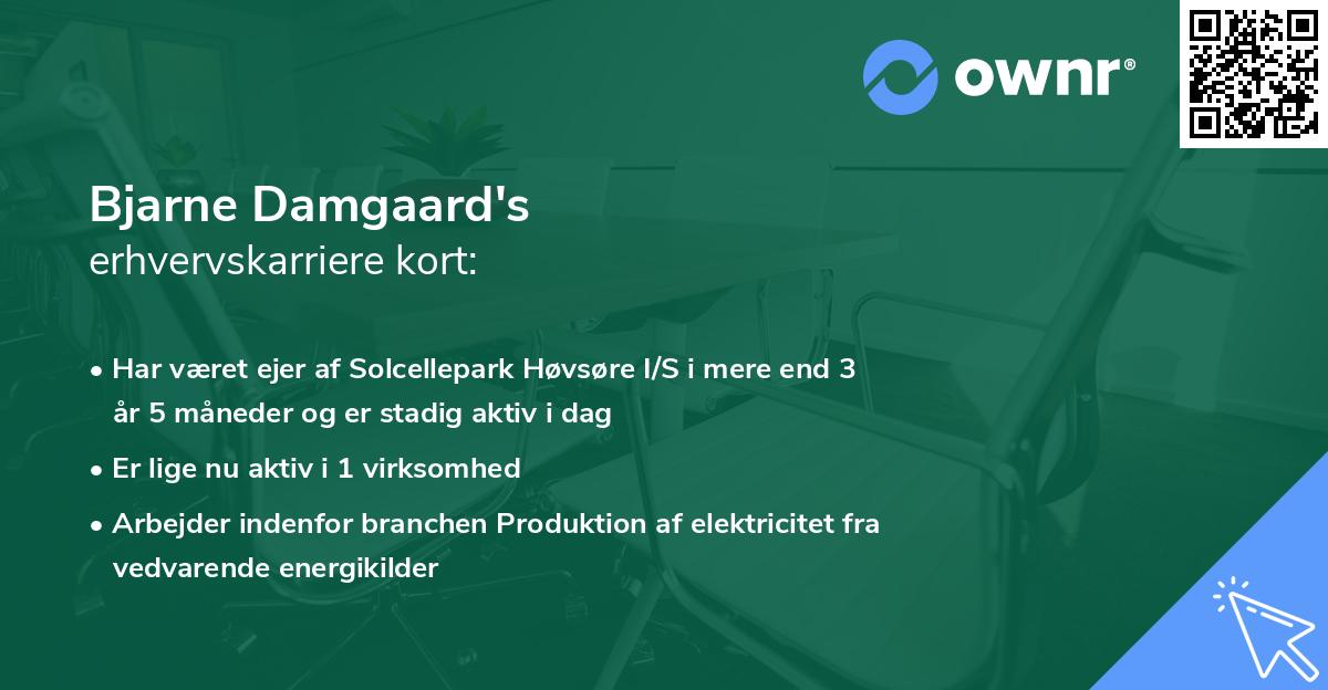 Bjarne Damgaard's erhvervskarriere kort