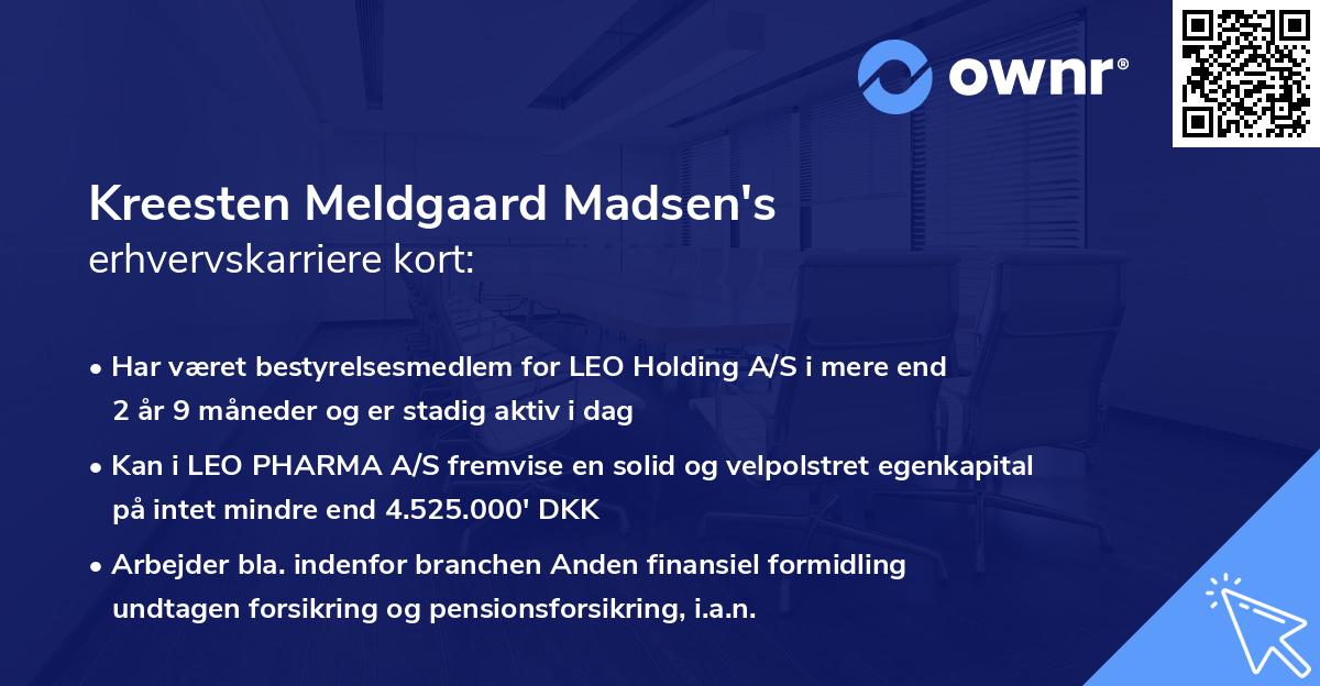 Kreesten Meldgaard Madsen's erhvervskarriere kort