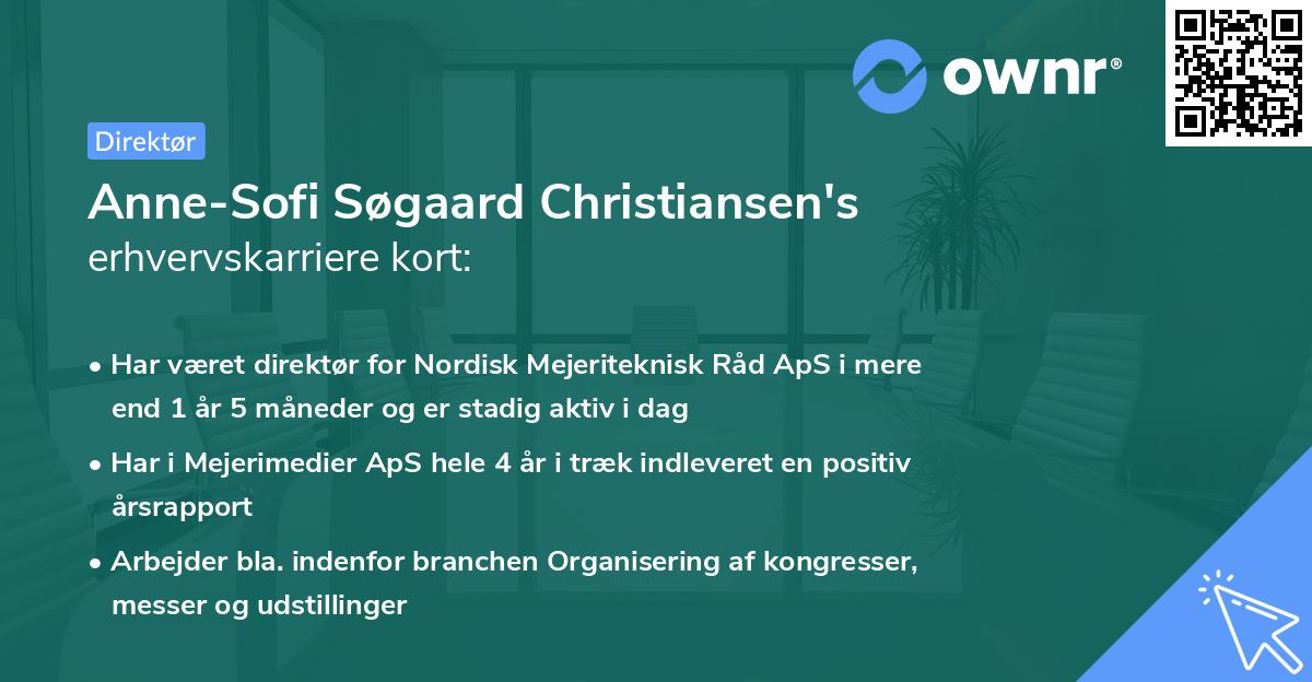 Anne-Sofi Søgaard Christiansen's erhvervskarriere kort