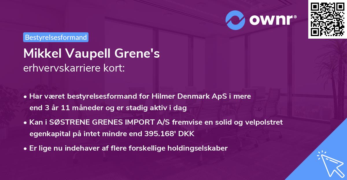 Mikkel Vaupell Grene's erhvervskarriere kort