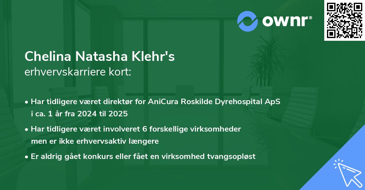 Chelina Natasha Klehr's erhvervskarriere kort