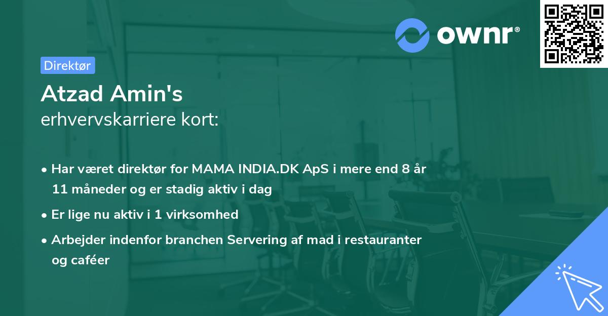 Atzad Amin's erhvervskarriere kort