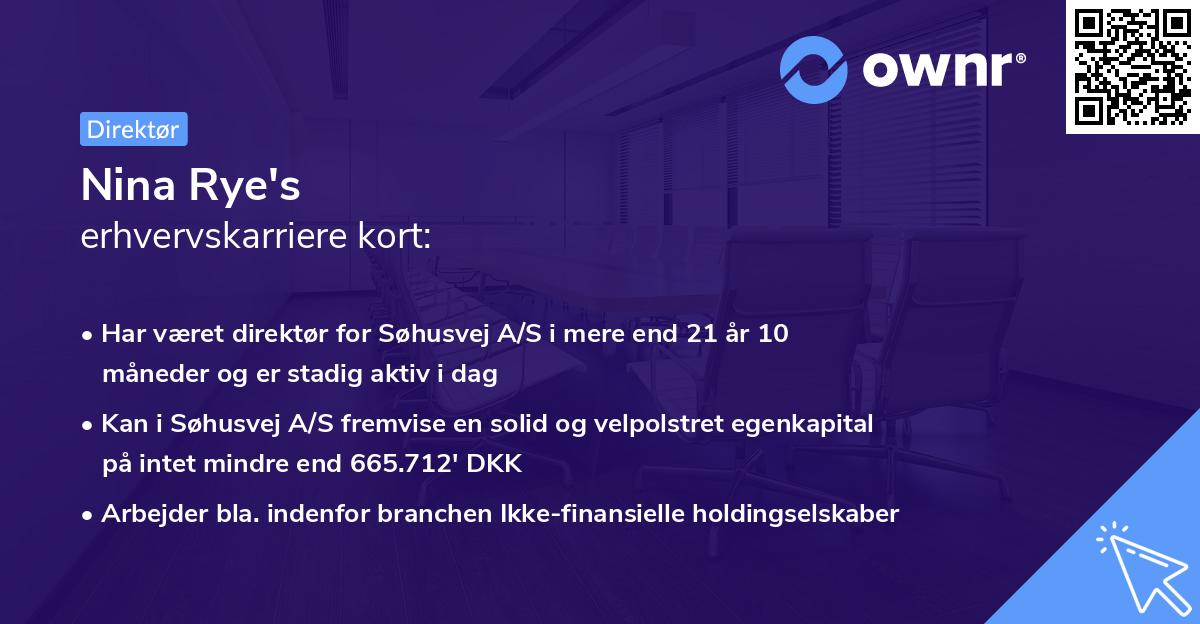 Nina Rye's erhvervskarriere kort