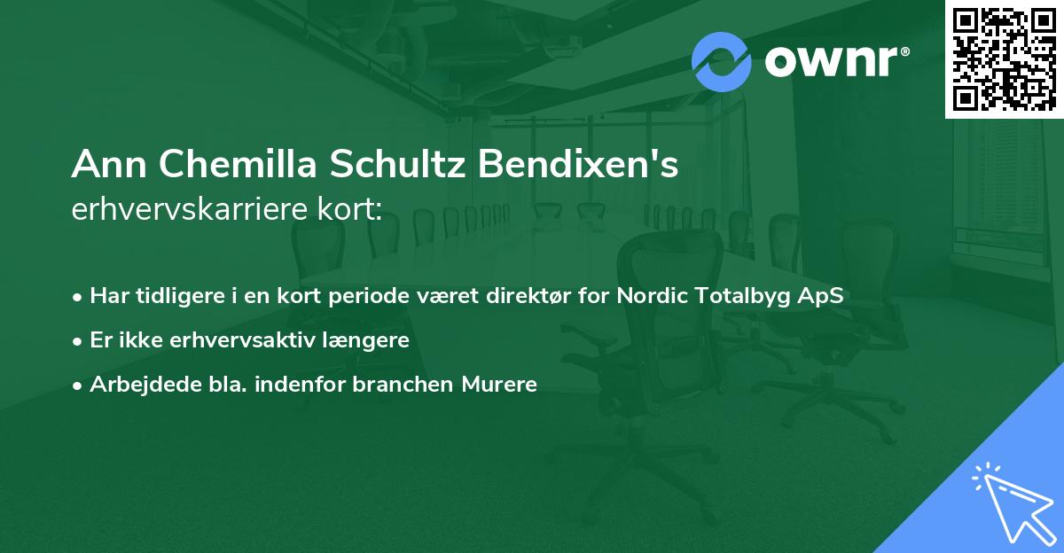 Ann Chemilla Schultz Bendixen's erhvervskarriere kort