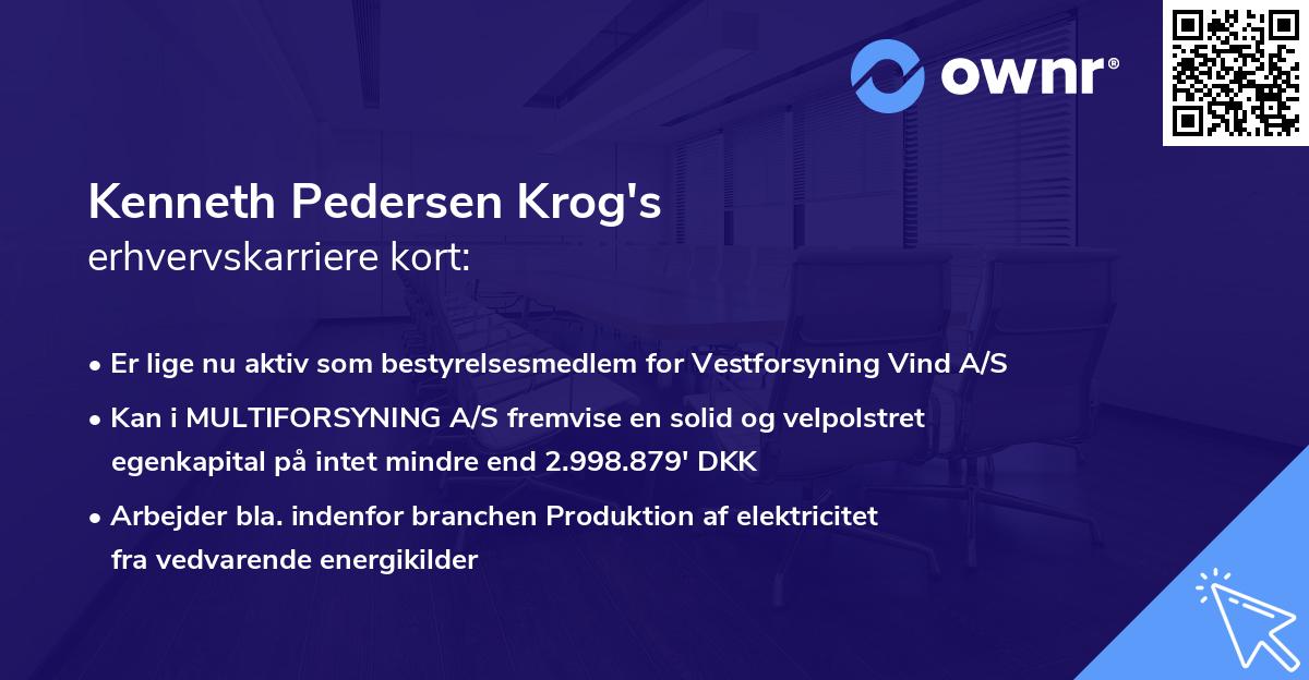 Kenneth Pedersen Krog's erhvervskarriere kort