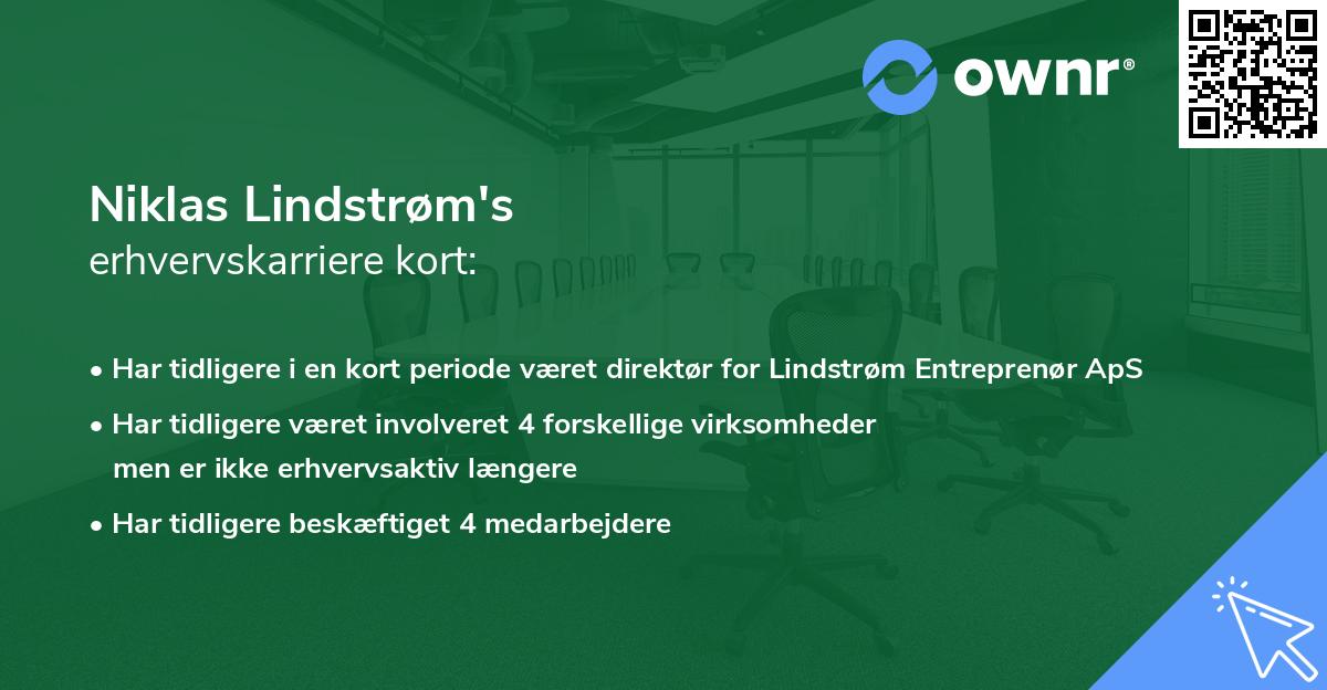 Niklas Lindstrøm's erhvervskarriere kort