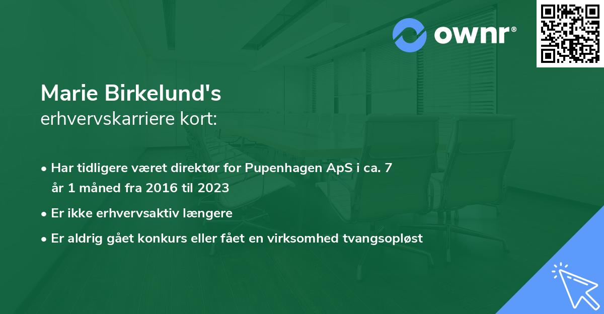 Marie Birkelund's erhvervskarriere kort