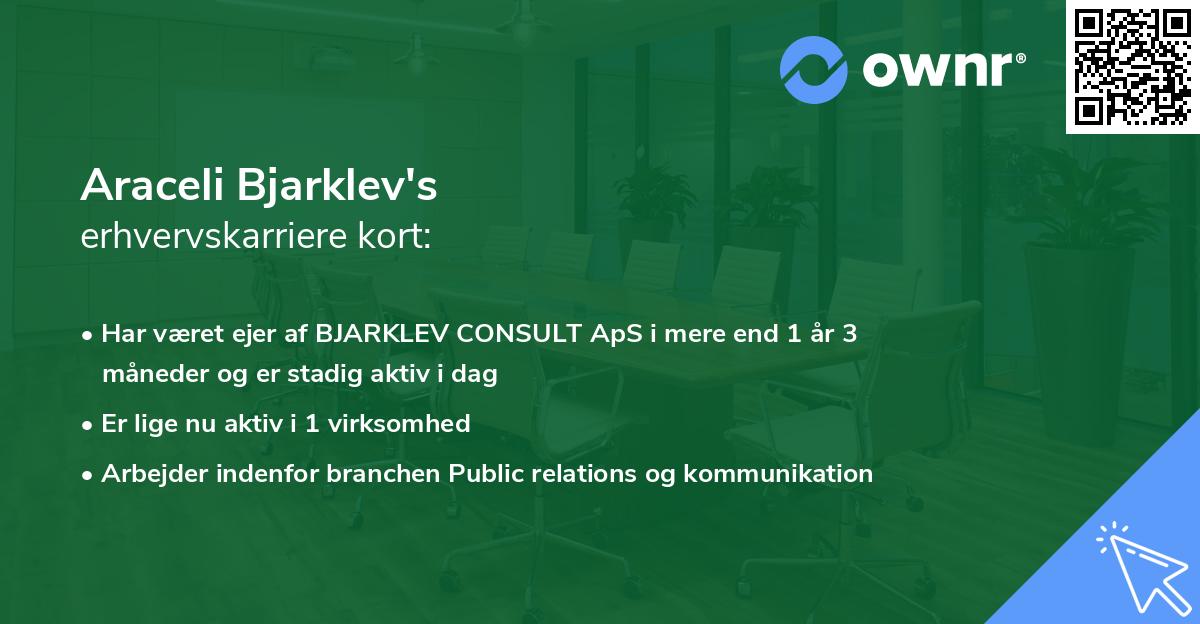 Araceli Bjarklev's erhvervskarriere kort