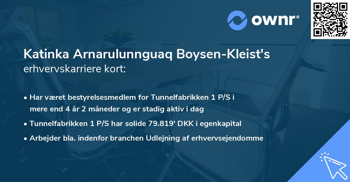 Katinka Arnarulunnguaq Boysen-Kleist's erhvervskarriere kort