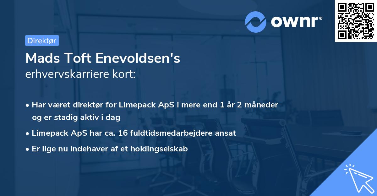 Mads Toft Enevoldsen's erhvervskarriere kort