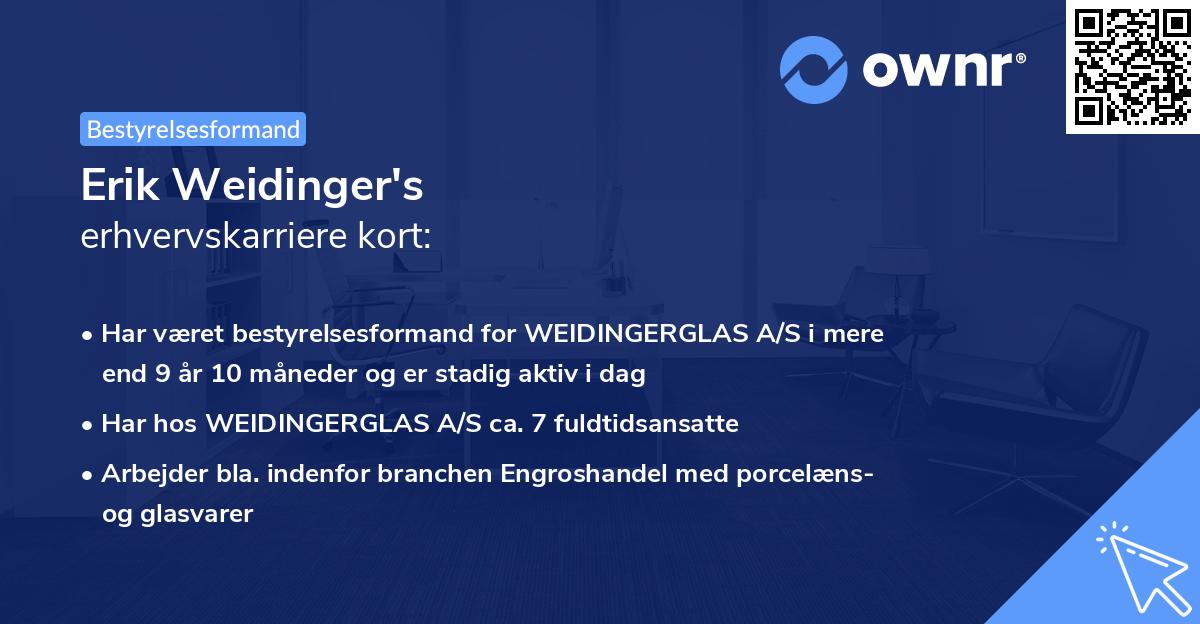 Erik Weidinger's erhvervskarriere kort