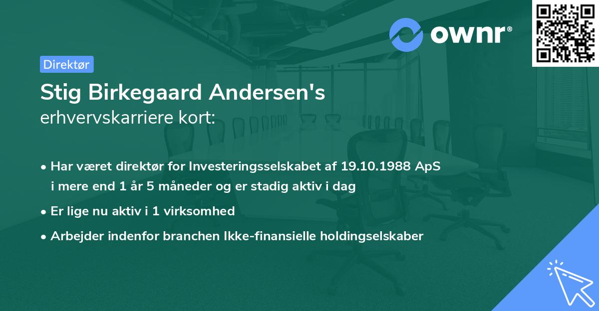 Stig Birkegaard Andersen's erhvervskarriere kort