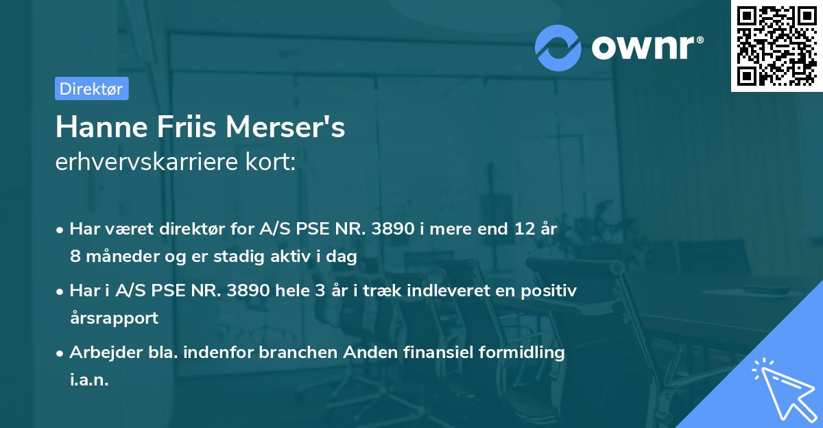 Hanne Friis Merser's erhvervskarriere kort