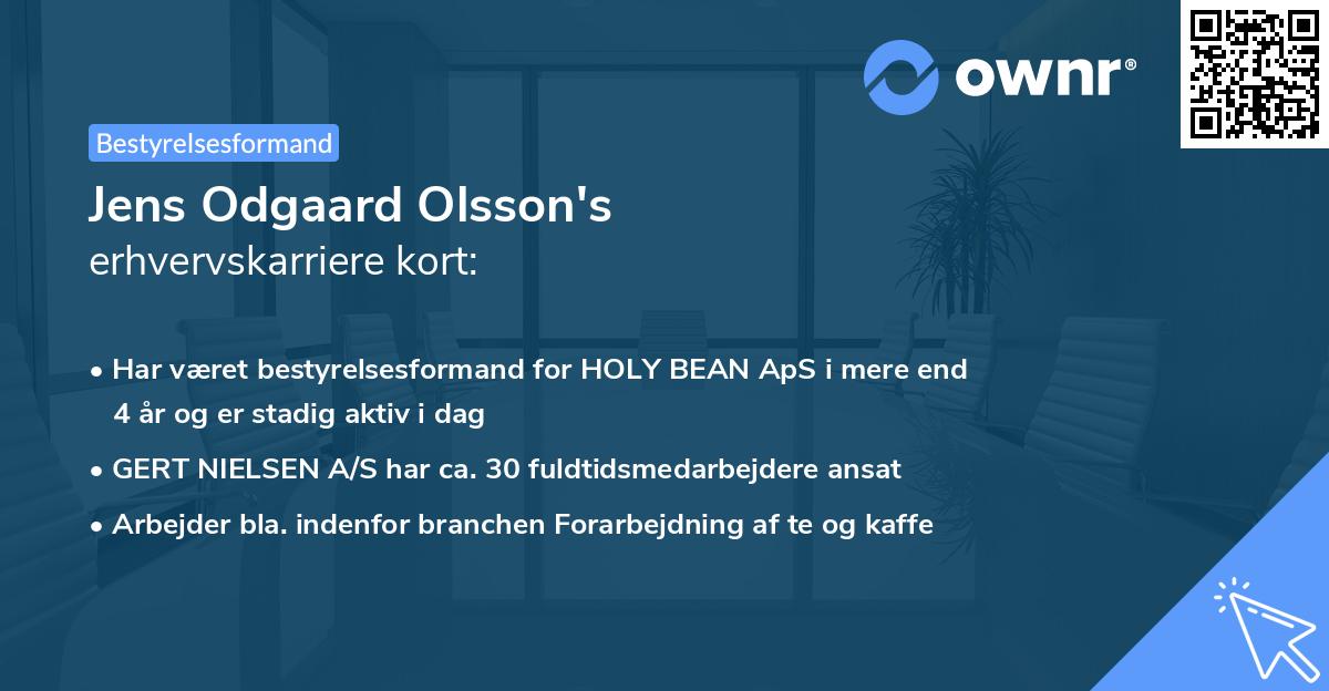 Jens Odgaard Olsson's erhvervskarriere kort