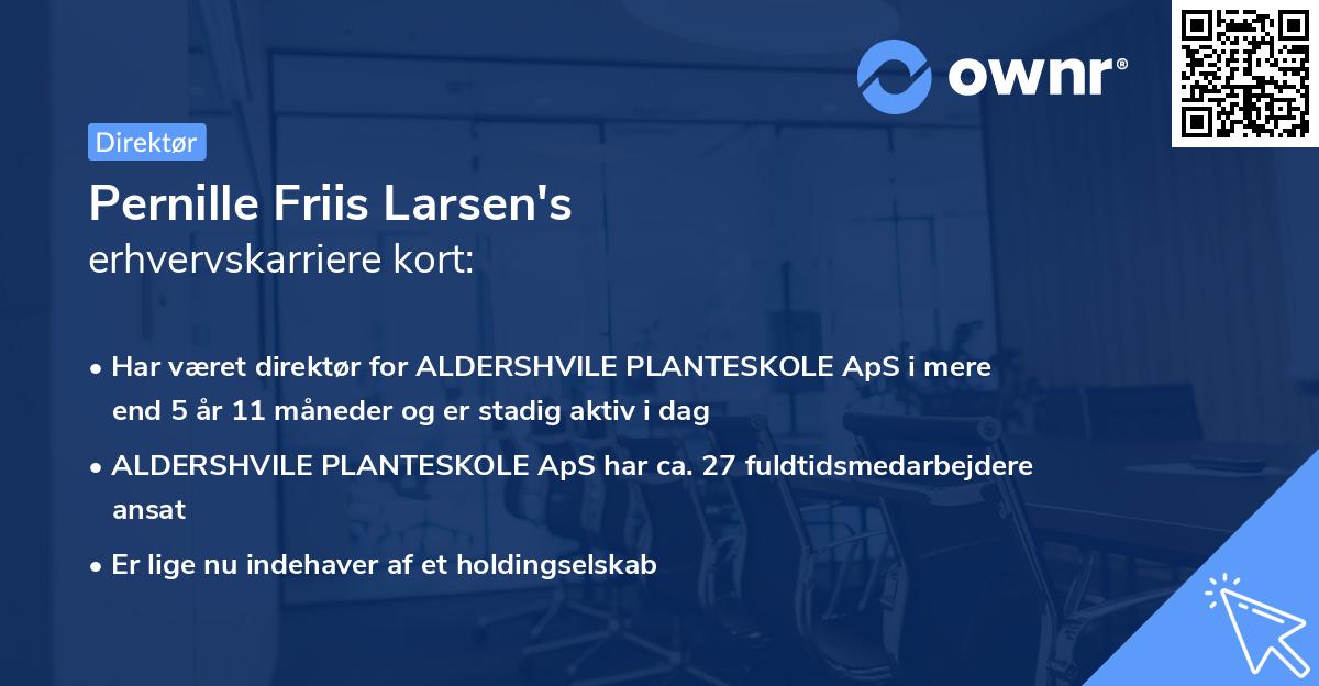 Pernille Friis Larsen's erhvervskarriere kort