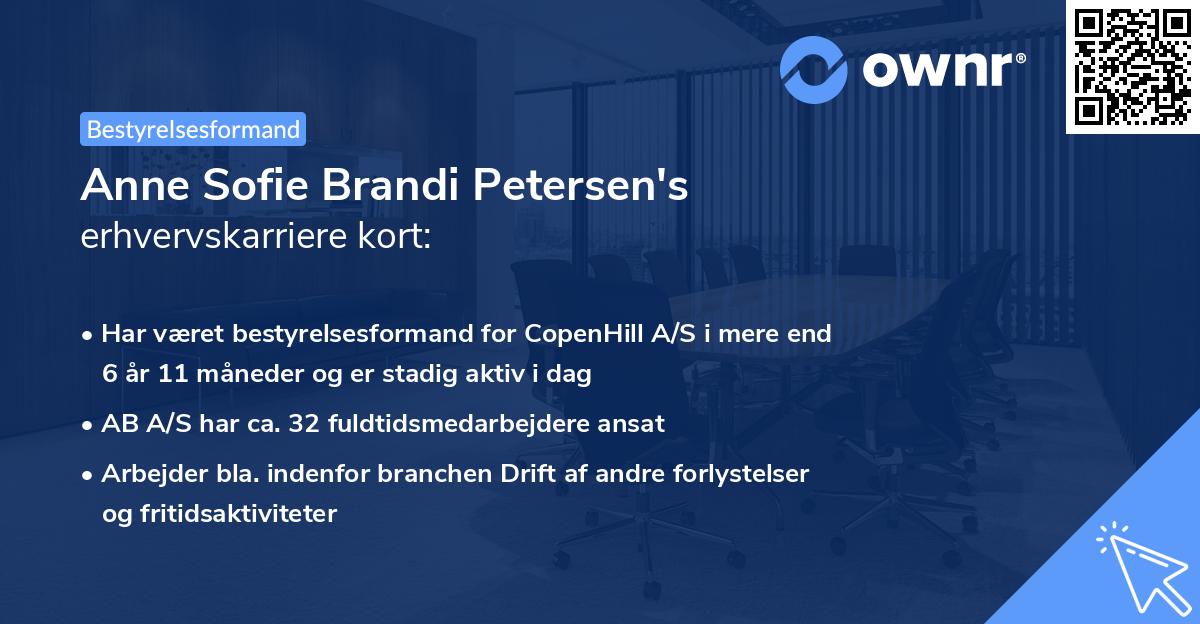 Anne Sofie Brandi Petersen's erhvervskarriere kort