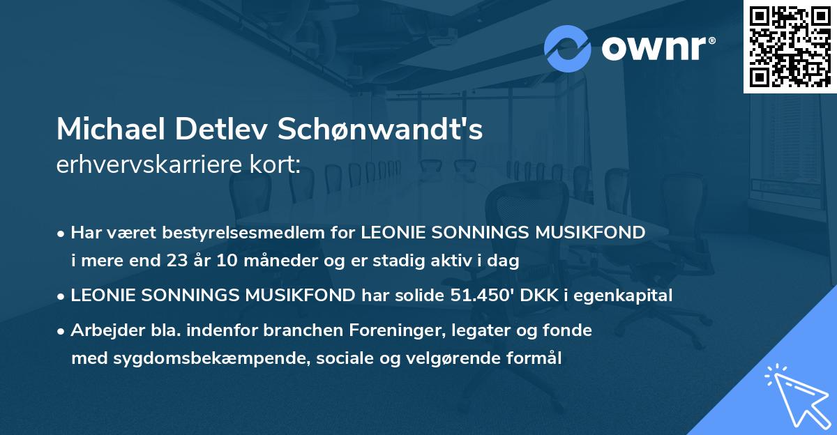 Michael Detlev Schønwandt's erhvervskarriere kort