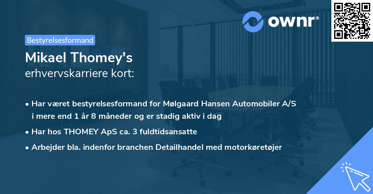 Mikael Thomey's erhvervskarriere kort